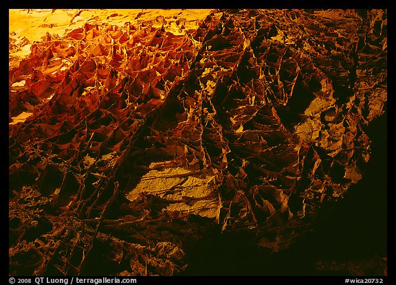 Cave ceilling with rare boxwork concretions. Wind Cave National Park (color)