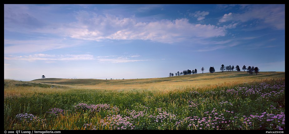 Gently rolling hills with trees on ridge. Wind Cave National Park (color)