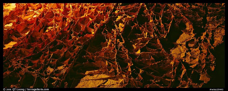 Boxworks underground formations. Wind Cave National Park (color)