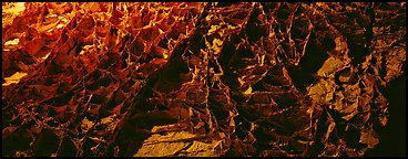 Boxworks underground formations. Wind Cave National Park (Panoramic color)