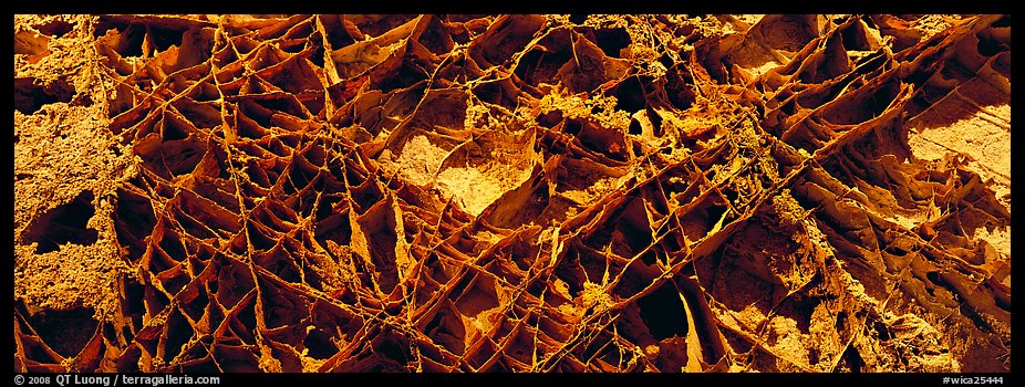 Cave ceiling with boxwork. Wind Cave National Park (color)