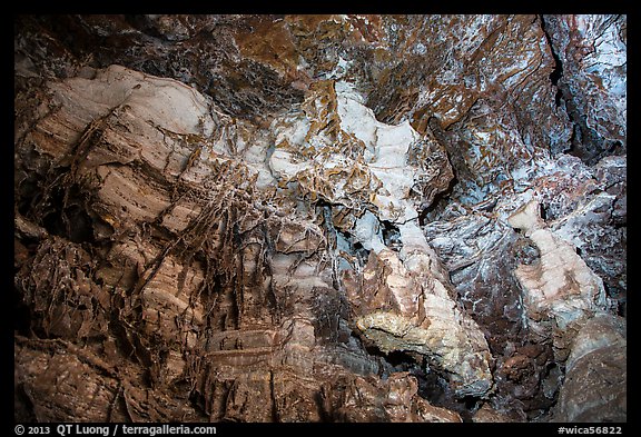 Cave ceiling with boxwork formation. Wind Cave National Park, South Dakota, USA.