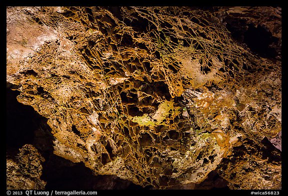 Boxwork in dolomite layers. Wind Cave National Park (color)