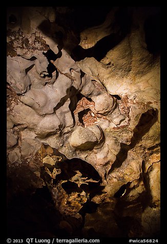 Cave ceiling. Wind Cave National Park, South Dakota, USA.