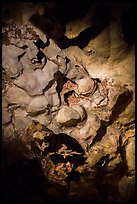 Cave ceiling. Wind Cave National Park, South Dakota, USA. (color)