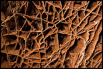 Thin calcite fins resembling honeycombs in cave ceiling. Wind Cave National Park, South Dakota, USA. (color)