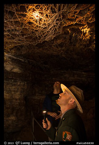 Ranger pointing flashlight at boxwork. Wind Cave National Park (color)