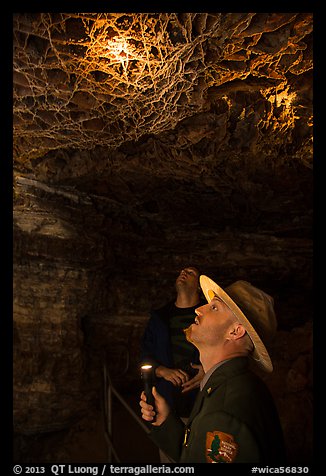 Ranger pointing flashlight at boxwork. Wind Cave National Park, South Dakota, USA.