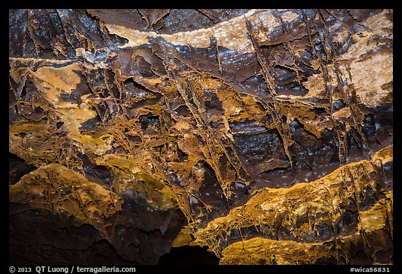 Thin blades of calcite projecting from cave walls and ceilings. Wind Cave National Park (color)