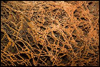 Boxwork. Wind Cave National Park, South Dakota, USA. (color)