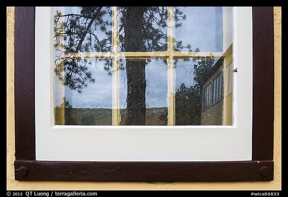 Pine and hill, Visitor center window reflexion. Wind Cave National Park, South Dakota, USA.