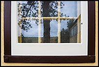 Pine and hill, Visitor center window reflexion. Wind Cave National Park, South Dakota, USA. (color)