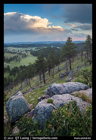 Rankin Ridge and cumulonimbus cloud in late afternoon. Wind Cave National Park, South Dakota, USA.