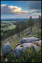 Rankin Ridge and cumulonimbus cloud in late afternoon. Wind Cave National Park, South Dakota, USA. (color)