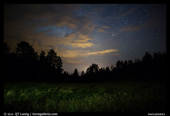 Grasses, pine forest at night. Wind Cave National Park (color)