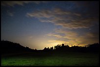 Prairie, pine trees on rolling hills at night. Wind Cave National Park, South Dakota, USA. (color)