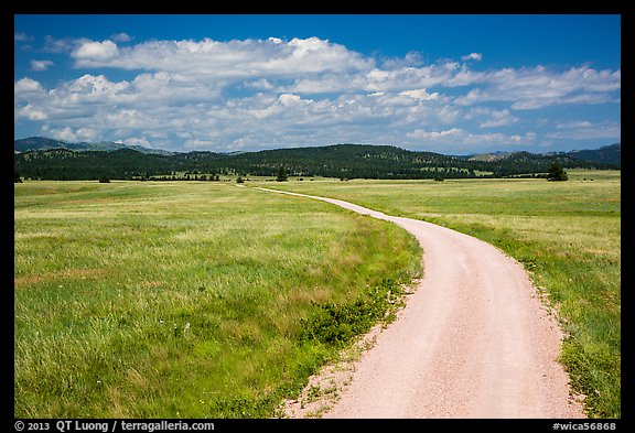 Gravel road through Red Valley. Wind Cave National Park (color)