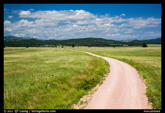 Gravel road through Red Valley. Wind Cave National Park (color)