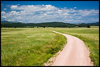 Gravel road through Red Valley. Wind Cave National Park, South Dakota, USA.