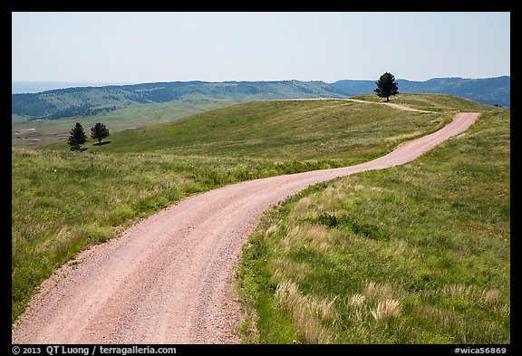 Unpaved road. Wind Cave National Park (color)