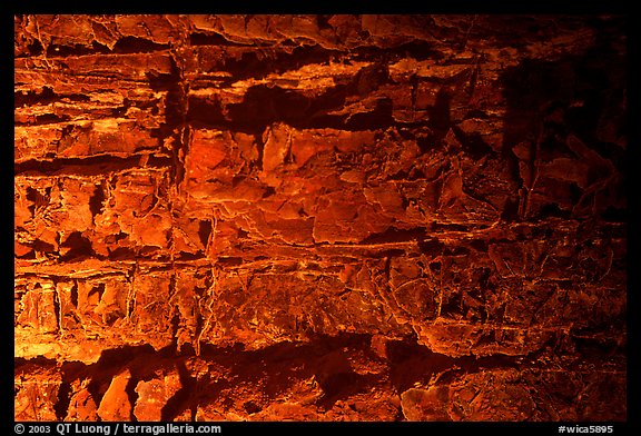 Honeycombed cave formation. Wind Cave National Park (color)