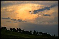 Row of trees under a storm cloud at sunset. Wind Cave National Park, South Dakota, USA. (color)