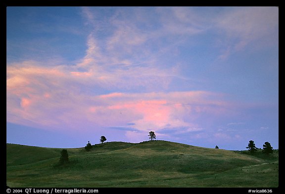 Hills, sunset. Wind Cave National Park, South Dakota, USA.