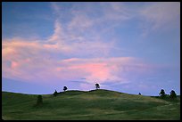 Hills, sunset. Wind Cave National Park, South Dakota, USA.