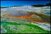 Green and red algaes in Norris geyser basin. Yellowstone National Park, Wyoming, USA.