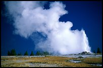 Steam clouds drifting from Old Faithfull geyser. Yellowstone National Park, Wyoming, USA. (color)