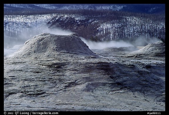 Geyser cone in Upper geyser basin. Yellowstone National Park, Wyoming, USA.