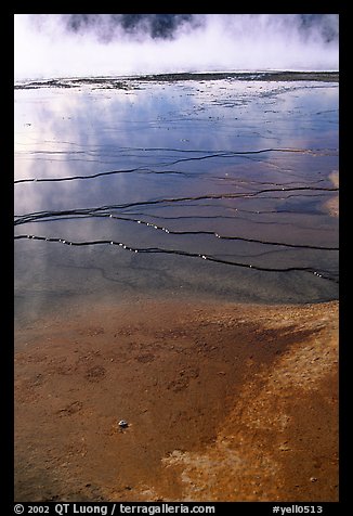 Terraces in Great prismatic springs, Midway geyser basin. Yellowstone National Park (color)