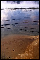 Terraces in Great prismatic springs, Midway geyser basin. Yellowstone National Park, Wyoming, USA. (color)