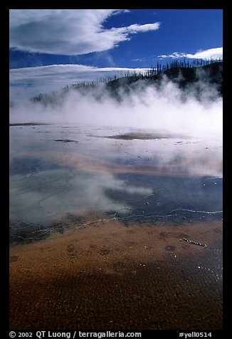 Great prismatic springs, thermal steam, and hill,  Midway geyser basin. Yellowstone National Park, Wyoming, USA.