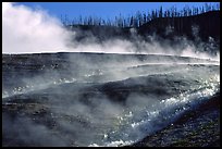 Steam and hill, Midway geyser basin. Yellowstone National Park, Wyoming, USA.