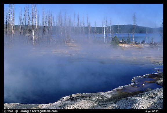 Pools, West Thumb geyser basin. Yellowstone National Park, Wyoming, USA.