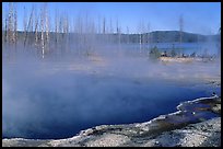Pools, West Thumb geyser basin. Yellowstone National Park, Wyoming, USA. (color)