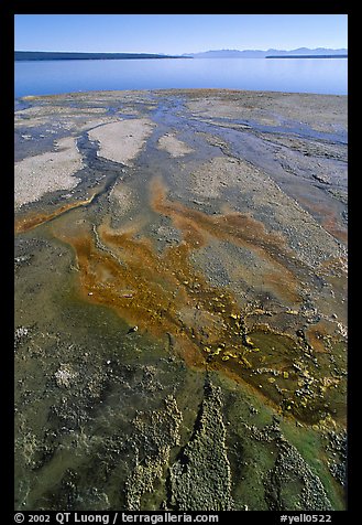 West Thumb geyser basin and Yellowstone lake. Yellowstone National Park, Wyoming, USA.