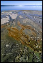 West Thumb geyser basin and Yellowstone lake. Yellowstone National Park, Wyoming, USA.