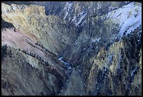 River gorge, Grand Canyon of Yellowstone. Yellowstone National Park, Wyoming, USA. (color)