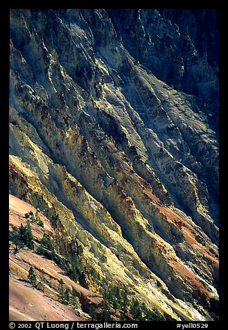 Canyon slopes, Grand Canyon of Yellowstone. Yellowstone National Park (color)