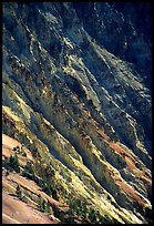 Canyon slopes, Grand Canyon of Yellowstone. Yellowstone National Park, Wyoming, USA.