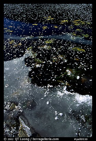 Ice on a small lake. Yellowstone National Park, Wyoming, USA.