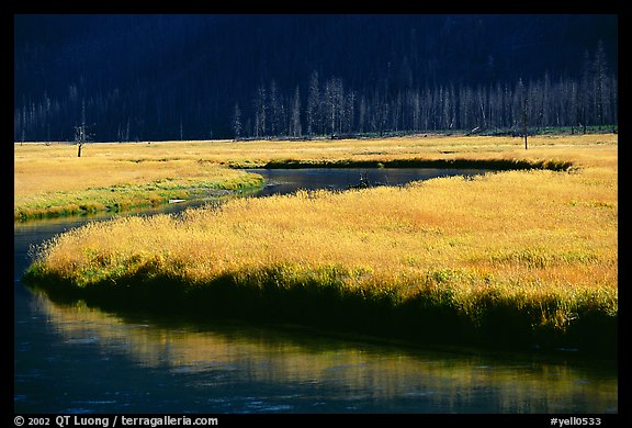 Yellowstone River and meadow in fall. Yellowstone National Park, Wyoming, USA.