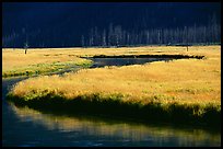 Yellowstone River and meadow in fall. Yellowstone National Park, Wyoming, USA.