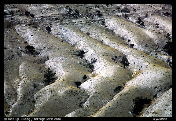 Fresh snow on foothill ridges. Yellowstone National Park, Wyoming, USA.