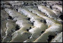 Fresh snow on foothill ridges. Yellowstone National Park ( color)