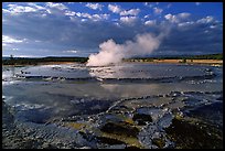 Great Fountain geyser. Yellowstone National Park, Wyoming, USA. (color)