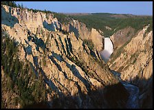 Wide view of Grand Canyon of the Yellowstone, morning. Yellowstone National Park, Wyoming, USA. (color)