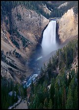 Lower Falls of the Yellowstone river. Yellowstone National Park ( color)